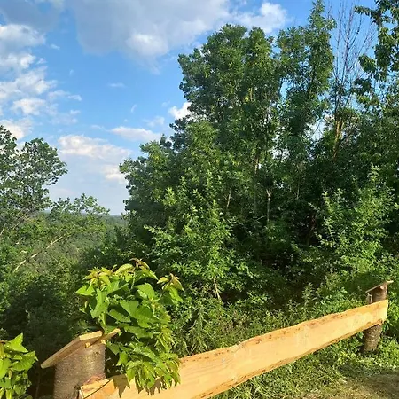 Kmetija Muze Pensjonat Bled